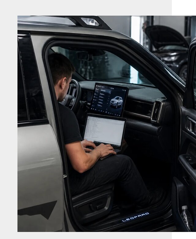 Русификация BYD Leopard 3 в Аксае по цене от 20212 р. | ФастМобиль-Акс